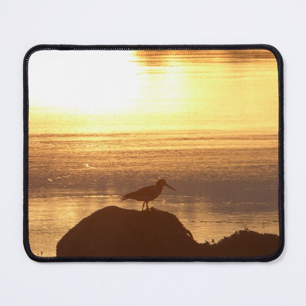 Item preview, Oystercatcher by sunset designed and sold by sianemily.