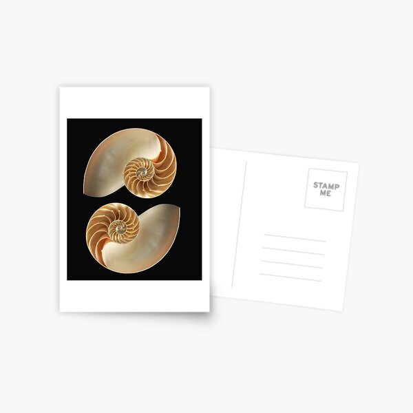 Item preview,  Golden Spiral Fibonacci Nautilus designed and sold by bernd49.