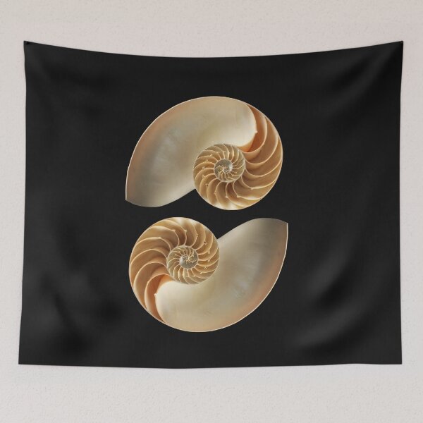 Item preview,  Golden Spiral Fibonacci Nautilus designed and sold by bernd49.