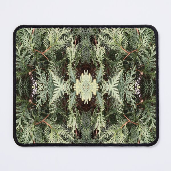 Item preview, Evergreen 2 designed and sold by Amanda1775.