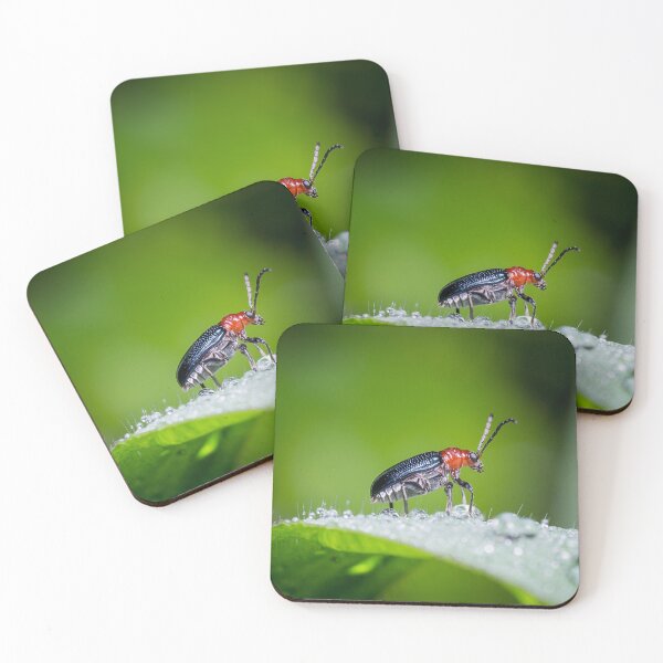 Item preview, Unique and organic photo of a leaf beetle crossing a slippery dew covered leaf designed and sold by AvonPerception.
