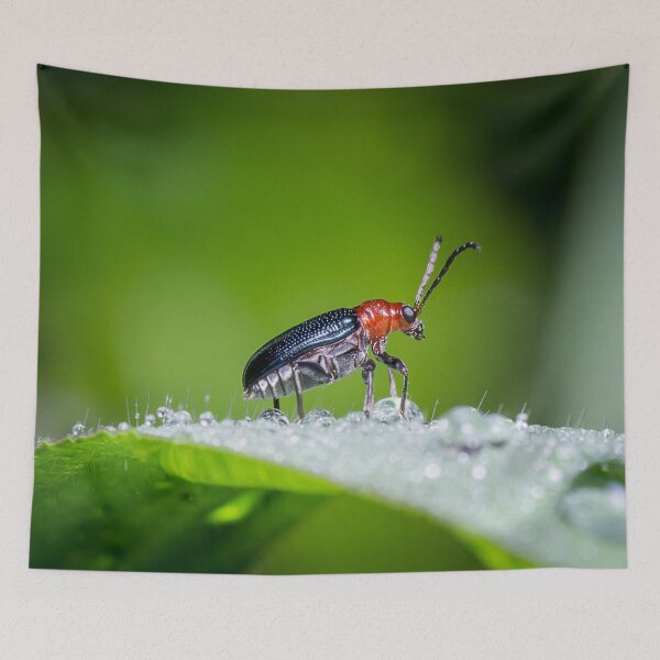 Item preview, Unique and organic photo of a leaf beetle crossing a slippery dew covered leaf designed and sold by AvonPerception.