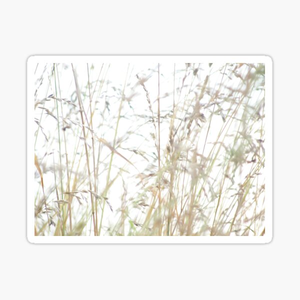 Fine grasses Sticker