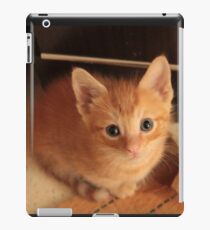 Ginger kitten iPad Case/Skin