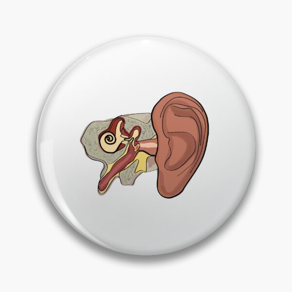 Item preview, ear anatomy t-shirt | ear anatomy hand-drawn poster designed and sold by KARTICK DUTTA.