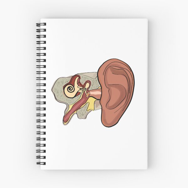 Item preview, ear anatomy t-shirt | ear anatomy hand-drawn poster designed and sold by KARTICK DUTTA.