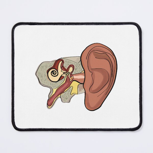Item preview, ear anatomy t-shirt | ear anatomy hand-drawn poster designed and sold by KARTICK DUTTA.