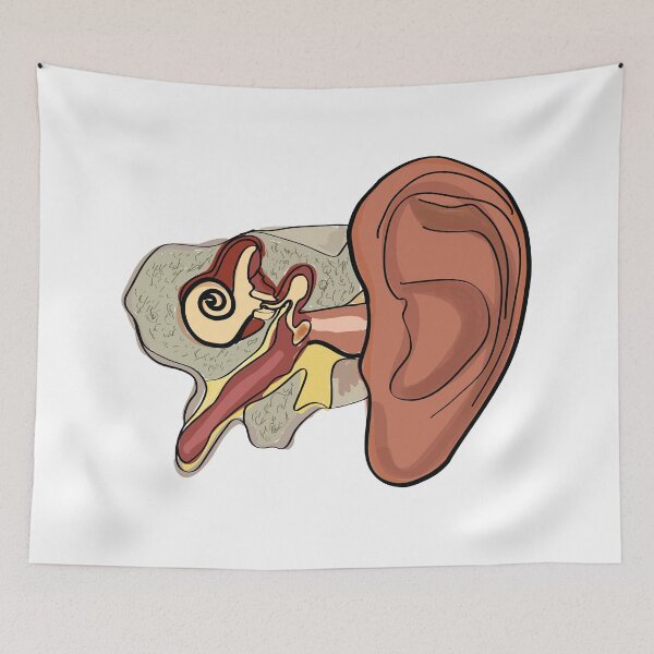 Item preview, ear anatomy t-shirt | ear anatomy hand-drawn poster designed and sold by KARTICK DUTTA.
