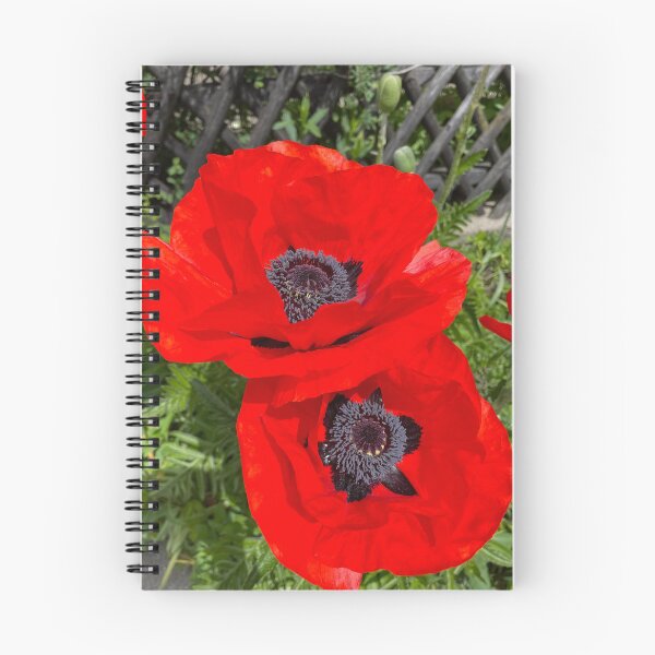 Item preview, giant poppy designed and sold by PassioKnit.