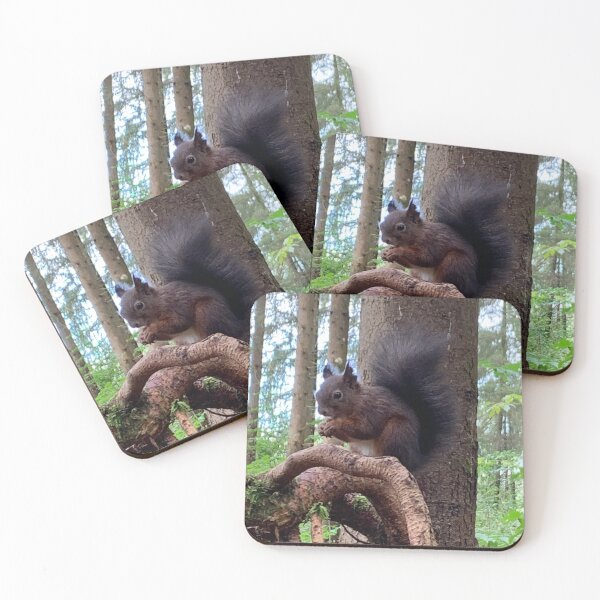 Item preview, squirrel designed and sold by PassioKnit.