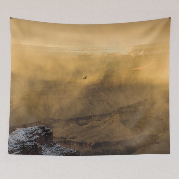 Item preview, Condor In A Storm designed and sold by MCHerdering Photography.