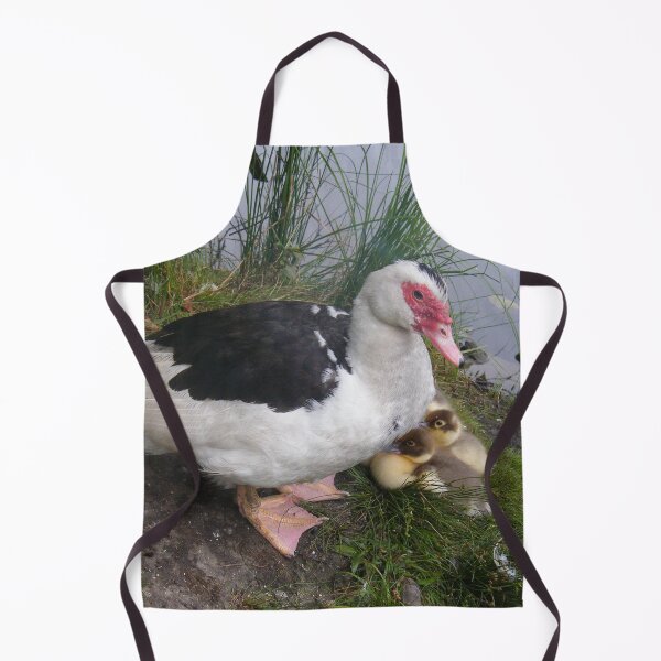 Item preview, Muscovy Mother and Ducklings designed and sold by imphavok.