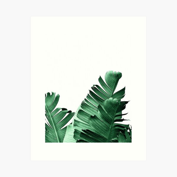 Item preview, BANANA LEAF designed and sold by NORDIKART.