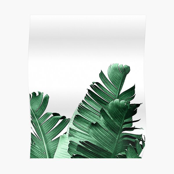 BANANA LEAF Poster