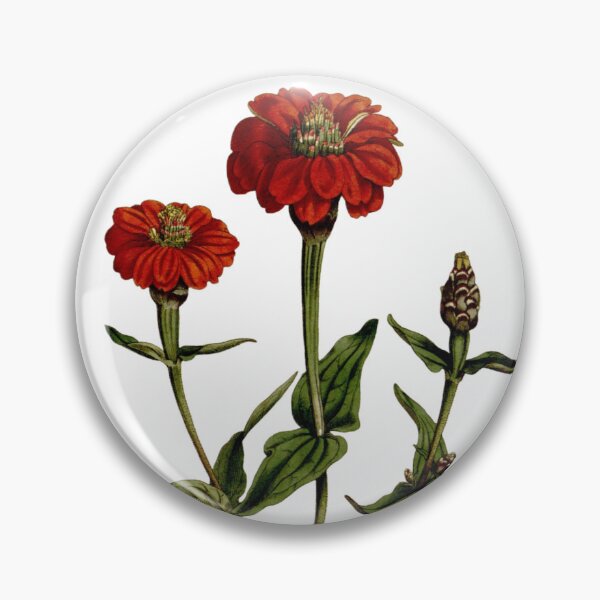 Item preview, Botanical Art Single Red Zinnia designed and sold by MochaMeli.