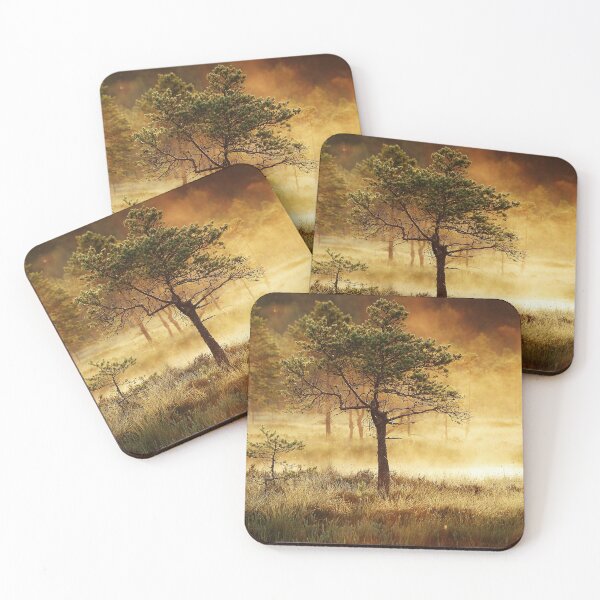 Item preview, 21.7.2022: Pine Tree in The Morning Mist designed and sold by Petri Volanen.