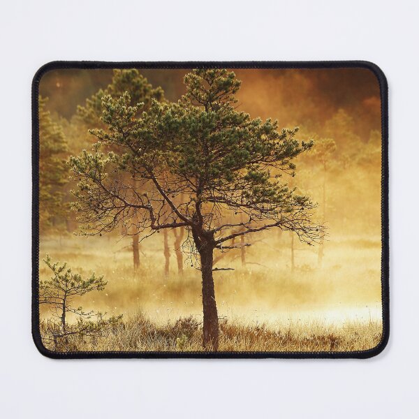 Item preview, 21.7.2022: Pine Tree in The Morning Mist designed and sold by Petri Volanen.