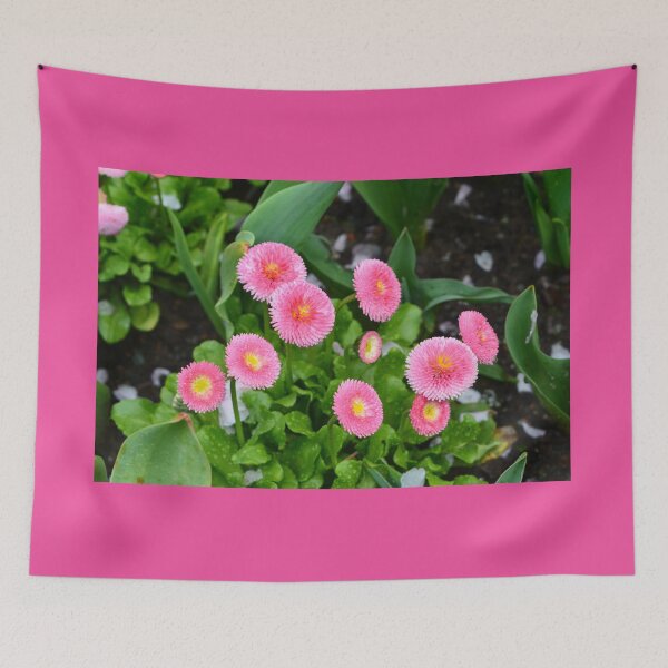 Item preview, Pretty pink aster flowers  designed and sold by naturematters.