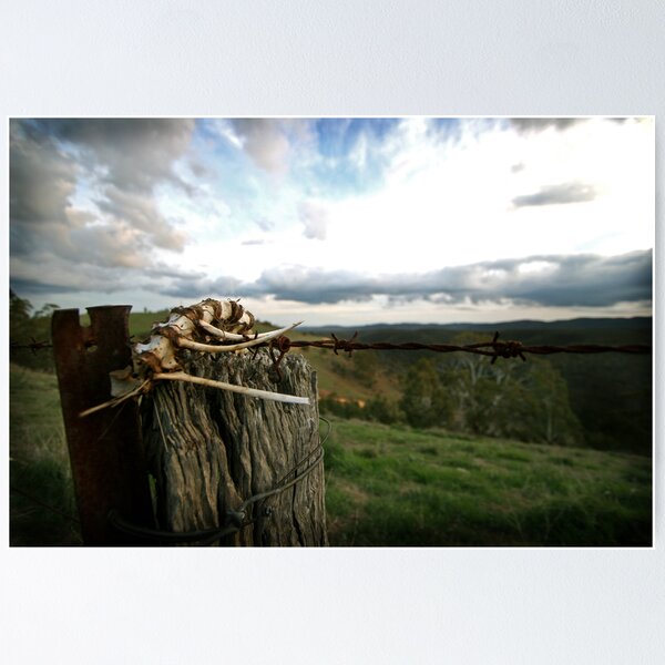 Item preview, Bones II designed and sold by Vivid Photography and Designs.