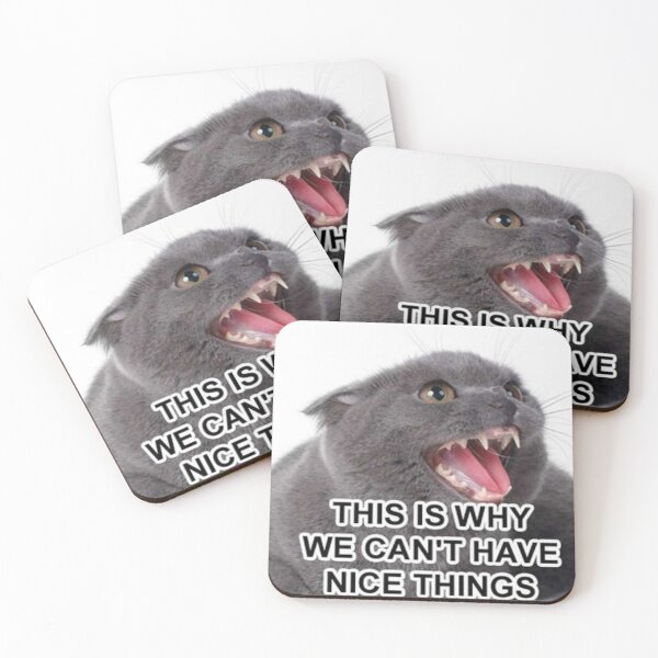 Item preview, This Is Why We Can’t Have Nice Things designed and sold by Meme Economy.