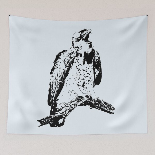 Item preview, Majestic Martial Eagle | African Wildlife designed and sold by Scotch Macaskill.