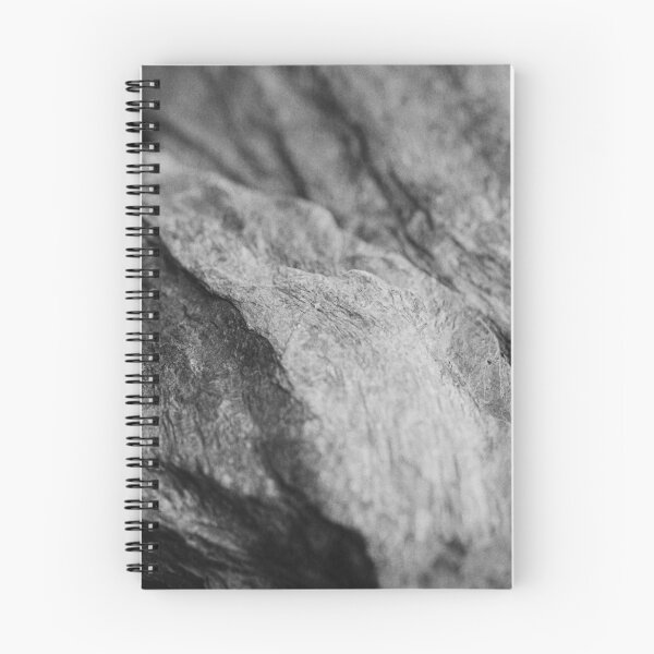Item preview, A look at fossilized wood designed and sold by Abel-momo.
