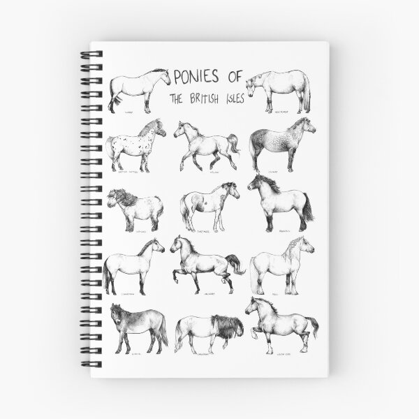 Item preview, Ponies of the British Isles designed and sold by needleneddies.