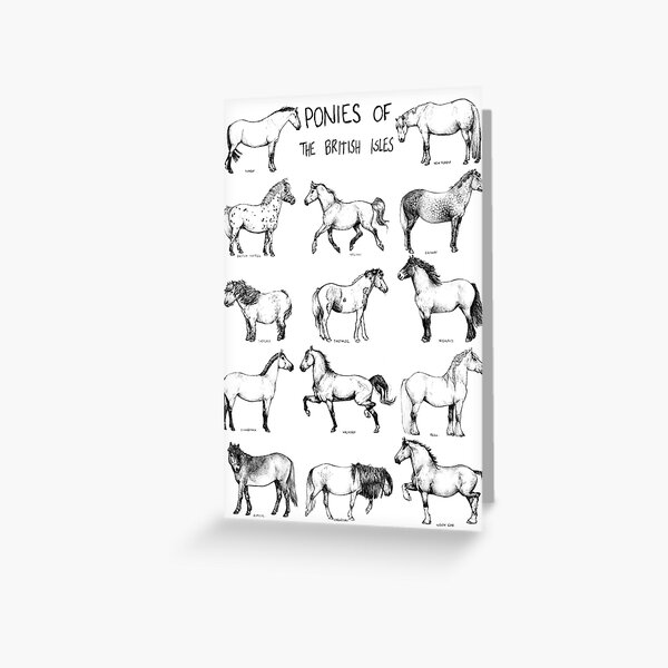 Item preview, Ponies of the British Isles designed and sold by needleneddies.
