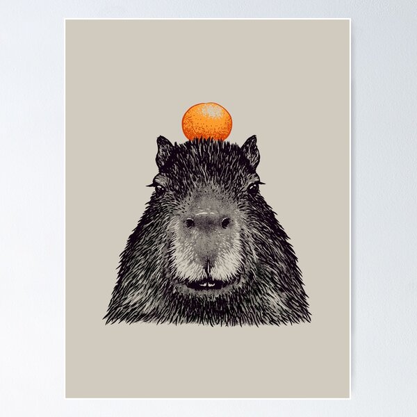 Capybara Art Print Available in 4x6 5x7 and 8x10 Sizes -   Рисунки  животных, Милые рисунки, Капибара