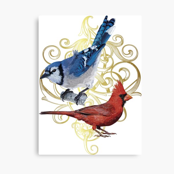 Blue Jay Bird Hugging Northern Cardinal Poster by alwe-designs