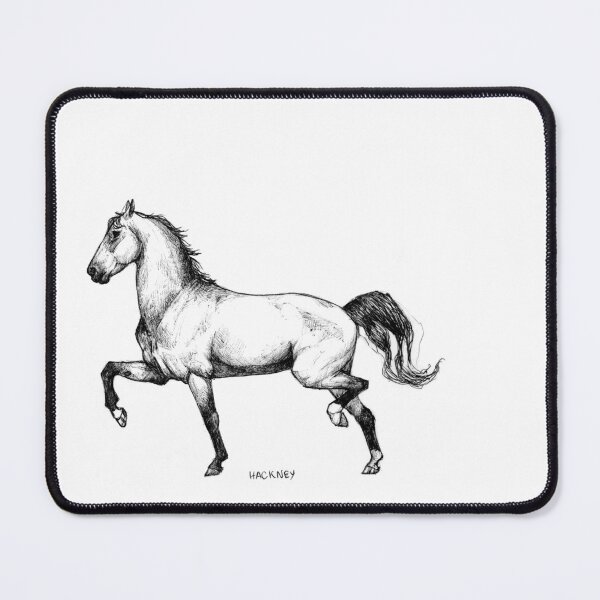 Item preview, Hackney Pony designed and sold by needleneddies.
