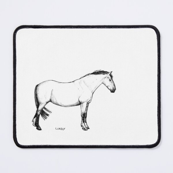 Item preview, Lundy Pony designed and sold by needleneddies.