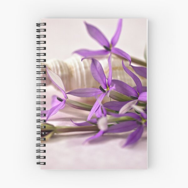 Item preview, Shell And Flower Beauty designed and sold by Sandra Foster.