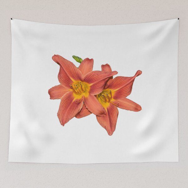 Item preview, Pair of Orange Day Lilies designed and sold by Bonnie T.  Barry.