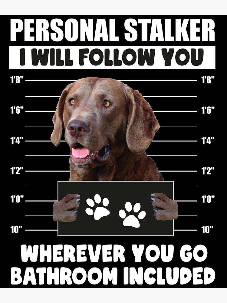 Chesapeake Bay Retriever T-Shirt Dog Owner Gift - Dog Joke Chesapeake Bay Retriever T-Shirt Dog Owner Gift - Dog Joke