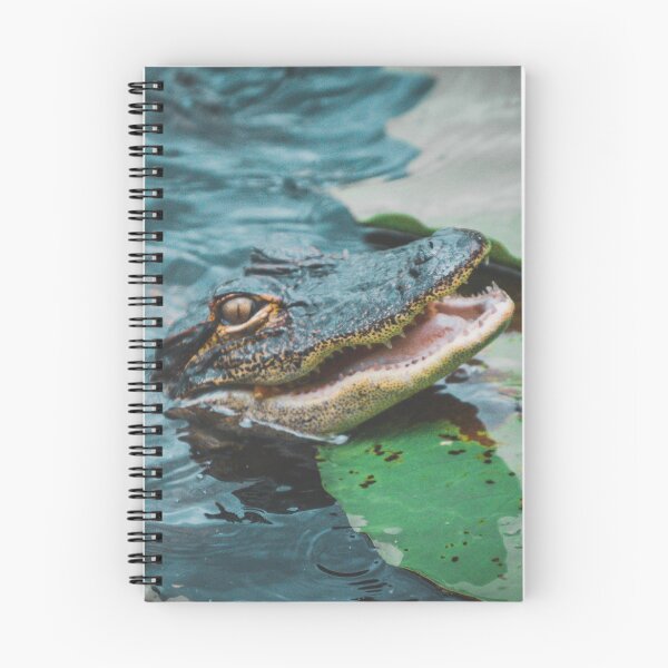 Item preview, Smiling Alligator Wildlife Florida Photography designed and sold by Jaynee Grace.