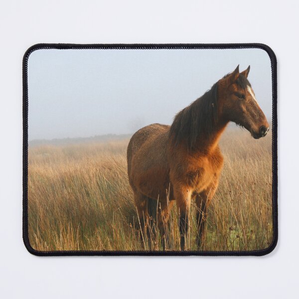 Item preview, The Bay Mare designed and sold by Tina  Townhill.
