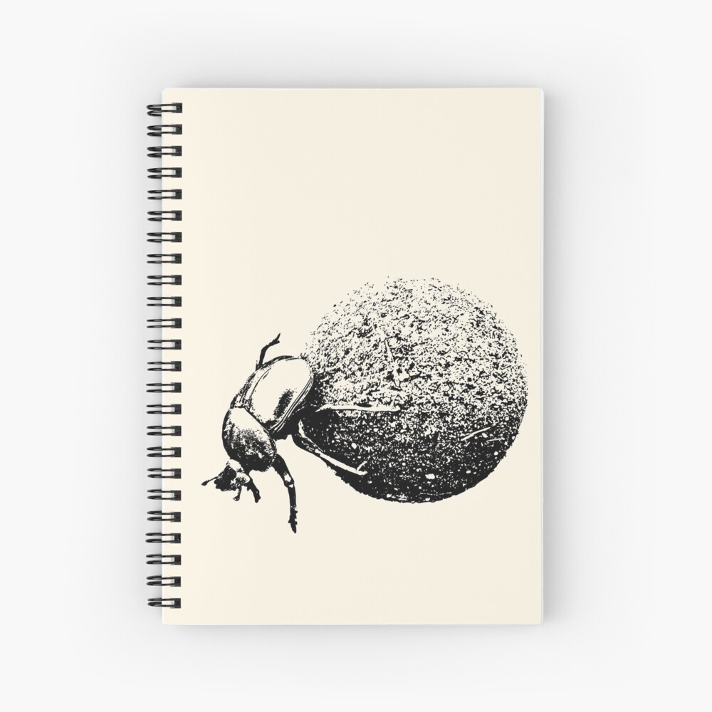 Dung beetle size image