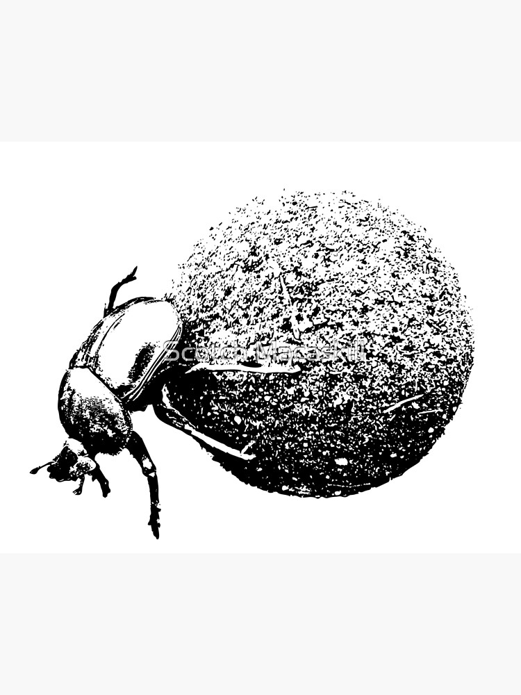 Dung Beetle Stock Illustrations Cliparts and Royalty Free Dung Beetle  Vectors