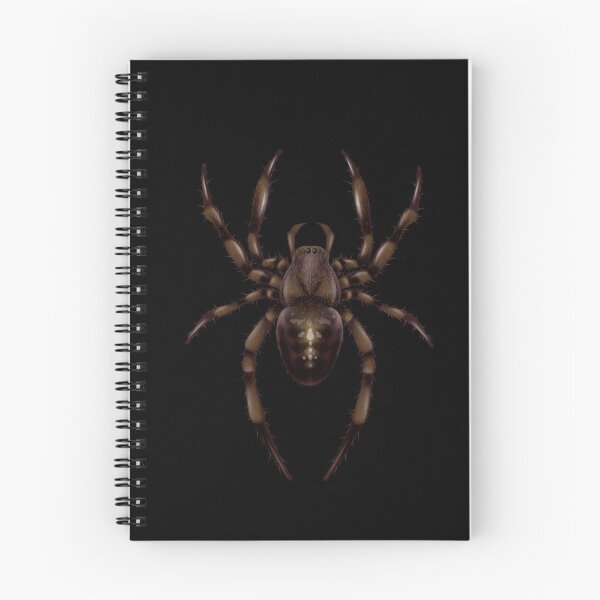 Aperçu de l'œuvre Drôle Horreur Haloween Veuve Araignée Arachnide Effrayant créée et vendue par Med ing.
