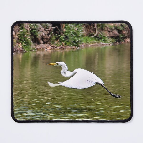 Item preview, Ready to Land on the Lake! designed and sold by heatherfriedman.