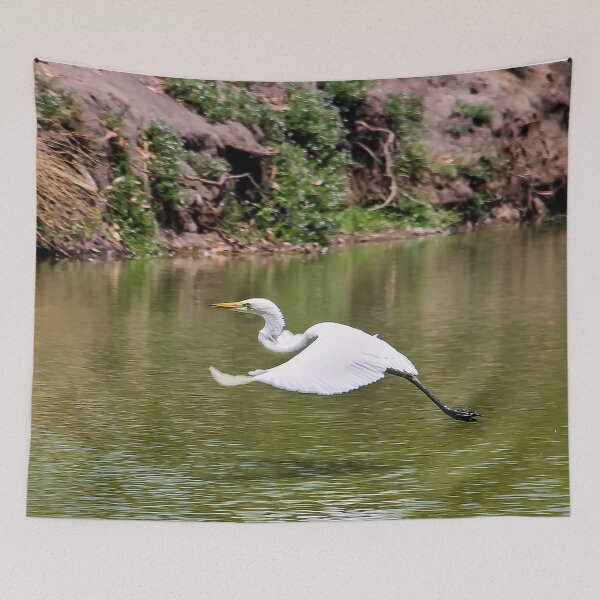 Item preview, Ready to Land on the Lake! designed and sold by heatherfriedman.