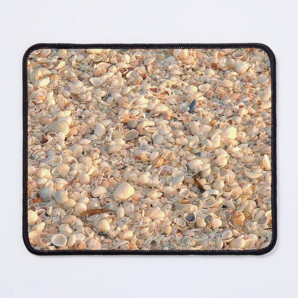 Item preview, Seashells from Sanibel Island designed and sold by PhilipBrown.