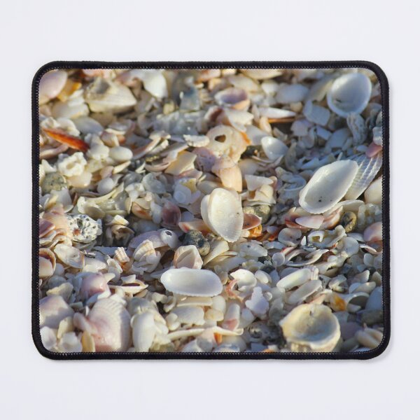 Item preview, Seashells from Sanibel Island designed and sold by PhilipBrown.