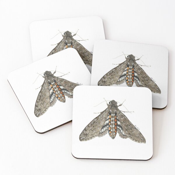 Item preview, Manduca brasiliensis moth illustration in watercolor - hawk moth designed and sold by Malu-Iriarte.
