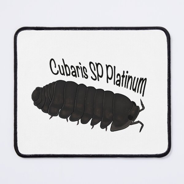 Item preview, Cubaris SP Platinum designed and sold by c4stones.
