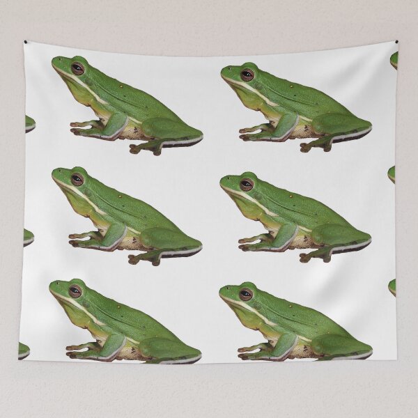 Item preview, Little Green Frog designed and sold by Bonnie T.  Barry.