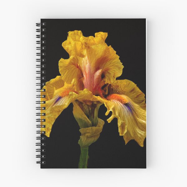Item preview, Golden designed and sold by Floyd Hopper.