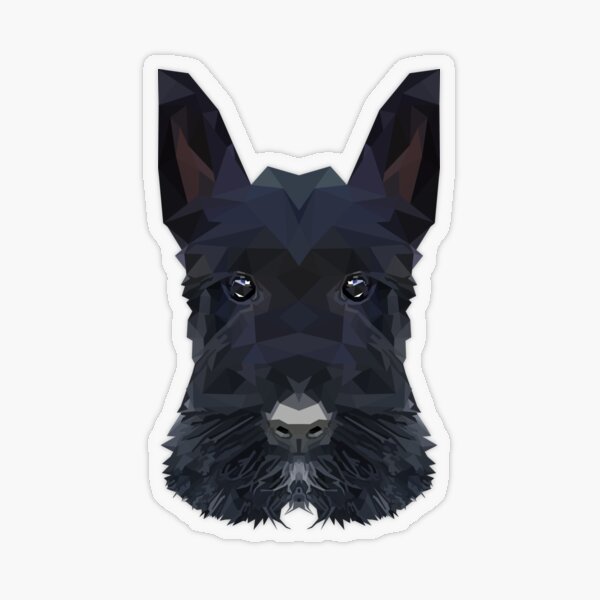 Schottischer Terrier Scottish Feiner Englischer Zinn Manschettenknöpfe Geschenk Schottischer Terrier Scottish Feiner Englischer Zinn Manschettenknöpfe Geschenk