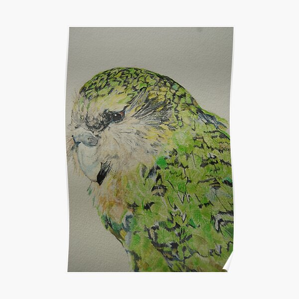 Kakapo Poster